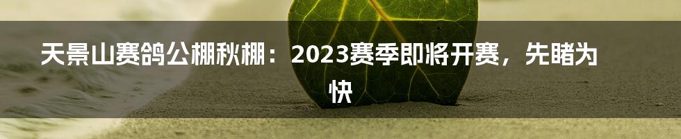 天景山赛鸽公棚秋棚：2023赛季即将开赛，先睹为快