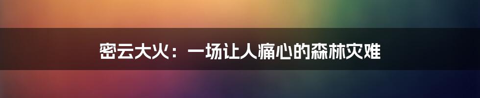 密云大火：一场让人痛心的森林灾难