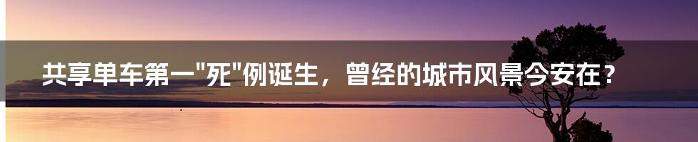 共享单车第一"死"例诞生，曾经的城市风景今安在？