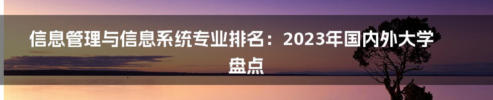 信息管理与信息系统专业排名：2023年国内外大学盘点