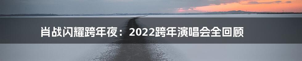 肖战闪耀跨年夜：2022跨年演唱会全回顾