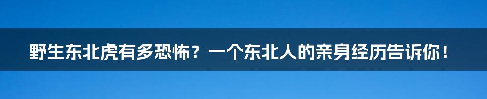 野生东北虎有多恐怖？一个东北人的亲身经历告诉你！