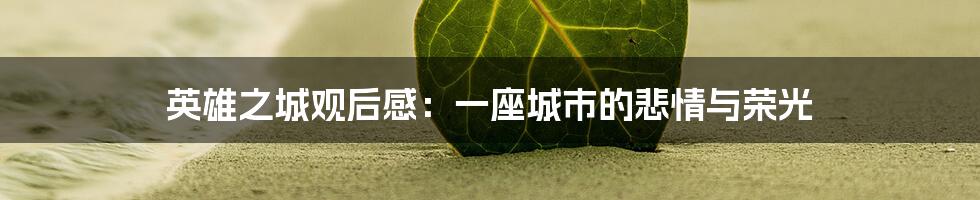 英雄之城观后感：一座城市的悲情与荣光