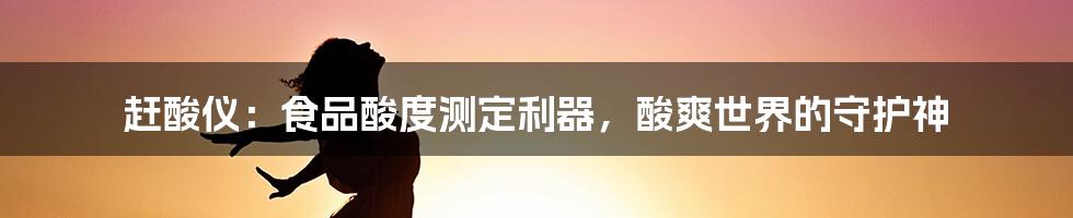 赶酸仪：食品酸度测定利器，酸爽世界的守护神