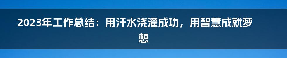 2023年工作总结：用汗水浇灌成功，用智慧成就梦想