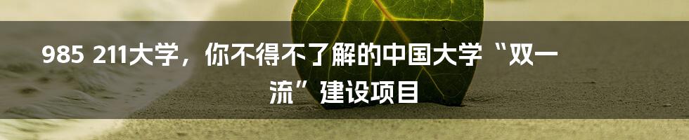 985 211大学，你不得不了解的中国大学“双一流”建设项目