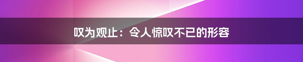 叹为观止：令人惊叹不已的形容