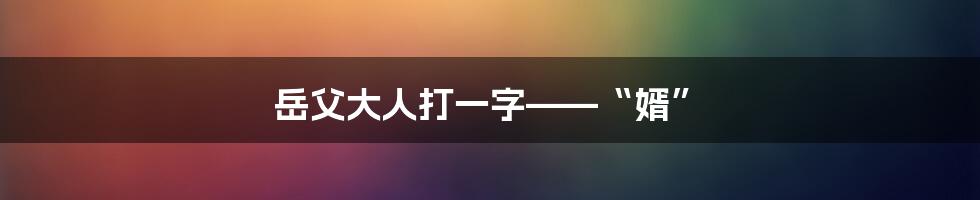 岳父大人打一字——“婿”