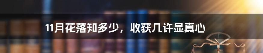 11月花落知多少，收获几许显真心