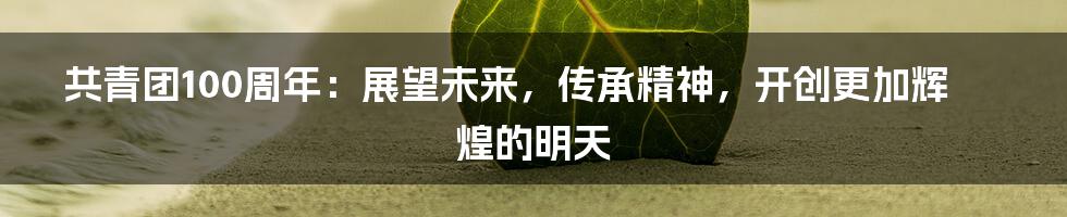 共青团100周年：展望未来，传承精神，开创更加辉煌的明天