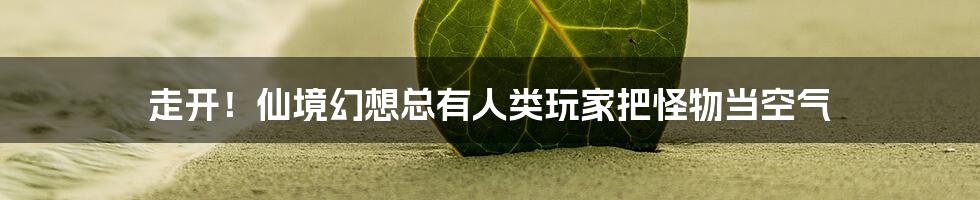 走开！仙境幻想总有人类玩家把怪物当空气