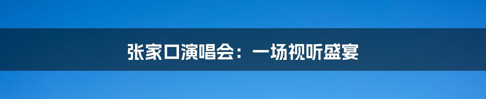 张家口演唱会：一场视听盛宴