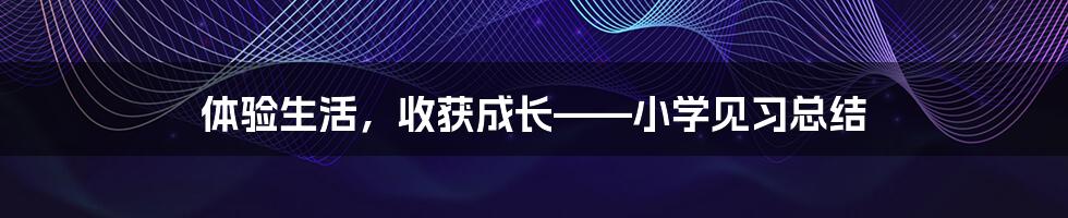 体验生活，收获成长——小学见习总结