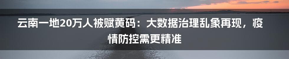 云南一地20万人被赋黄码：大数据治理乱象再现，疫情防控需更精准