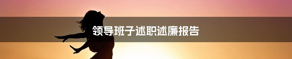 领导班子述职述廉报告