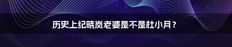 历史上纪晓岚老婆是不是杜小月？