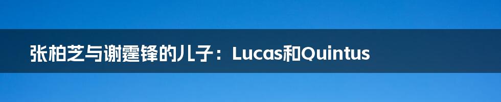 张柏芝与谢霆锋的儿子：Lucas和Quintus