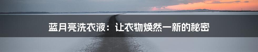 蓝月亮洗衣液：让衣物焕然一新的秘密