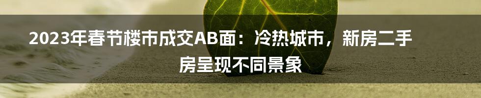 2023年春节楼市成交AB面：冷热城市，新房二手房呈现不同景象