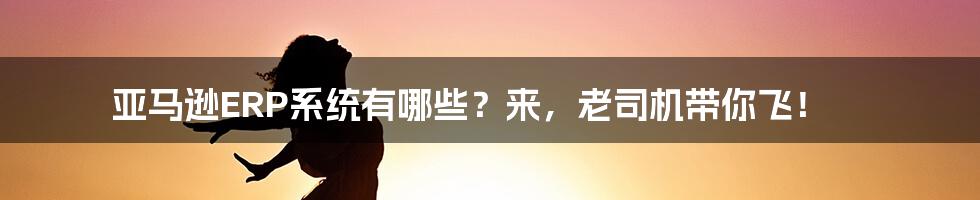 亚马逊ERP系统有哪些？来，老司机带你飞！