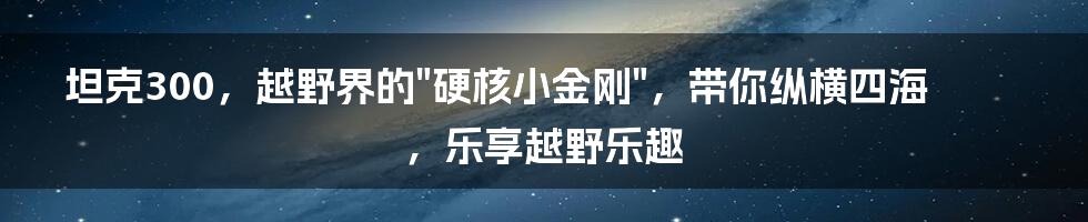 坦克300，越野界的"硬核小金刚"，带你纵横四海，乐享越野乐趣