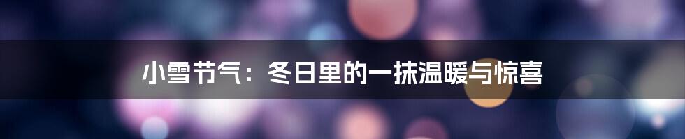 小雪节气：冬日里的一抹温暖与惊喜