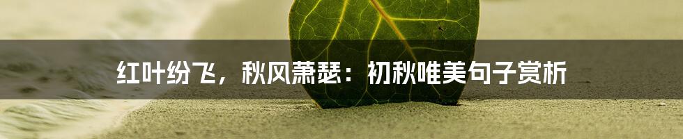 红叶纷飞，秋风萧瑟：初秋唯美句子赏析