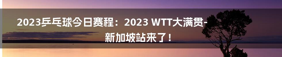 2023乒乓球今日赛程：2023 WTT大满贯-新加坡站来了！