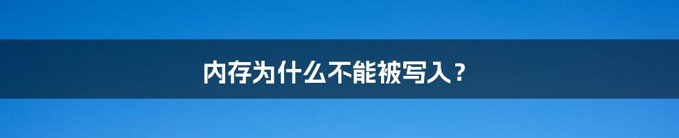 内存为什么不能被写入？