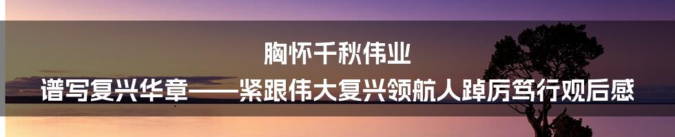 胸怀千秋伟业 谱写复兴华章——紧跟伟大复兴领航人踔厉笃行观后感