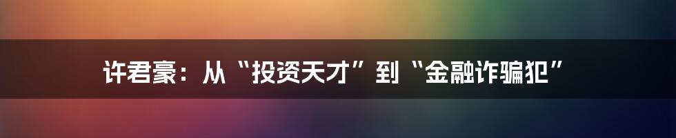 许君豪：从“投资天才”到“金融诈骗犯”