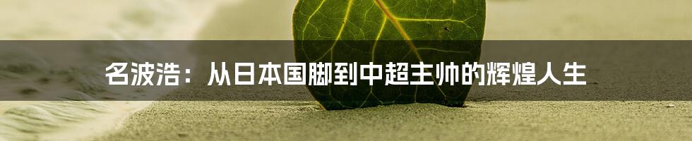 名波浩：从日本国脚到中超主帅的辉煌人生