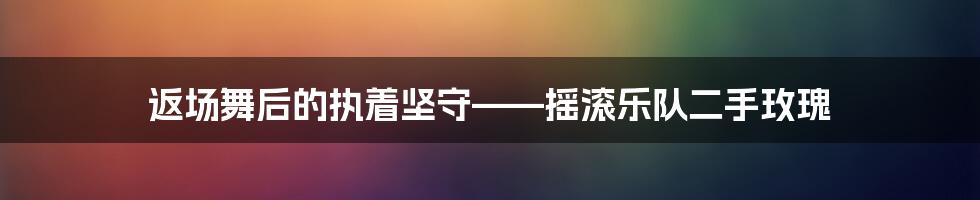 返场舞后的执着坚守——摇滚乐队二手玫瑰