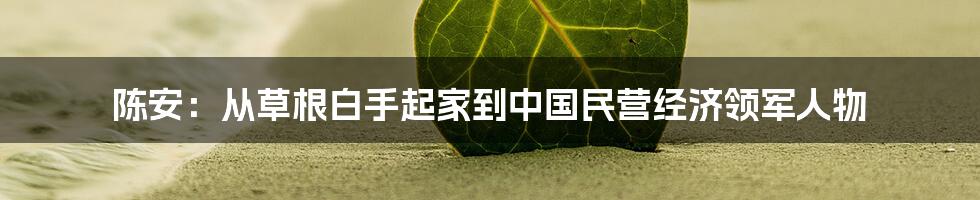 陈安：从草根白手起家到中国民营经济领军人物