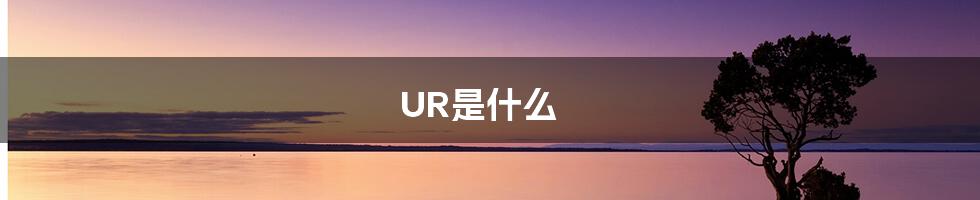 UR是什么