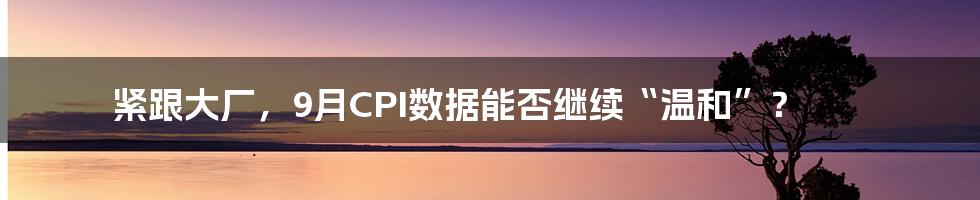 紧跟大厂，9月CPI数据能否继续“温和”？