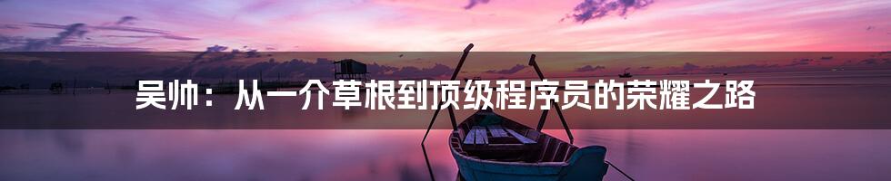 吴帅：从一介草根到顶级程序员的荣耀之路