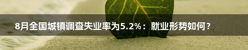 8月全国城镇调查失业率为5.2%：就业形势如何？