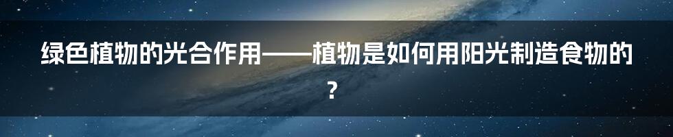 绿色植物的光合作用——植物是如何用阳光制造食物的？