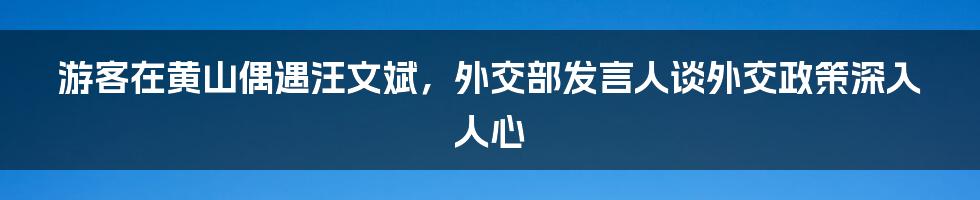 游客在黄山偶遇汪文斌，外交部发言人谈外交政策深入人心