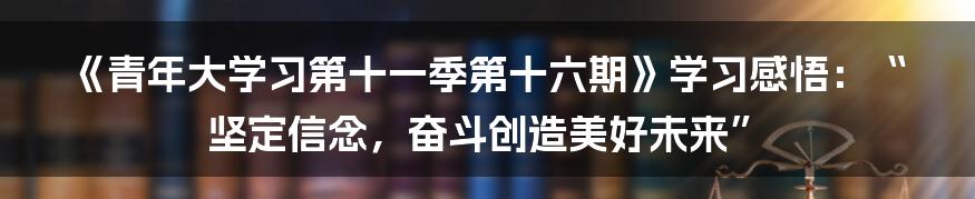 《青年大学习第十一季第十六期》学习感悟：“坚定信念，奋斗创造美好未来”