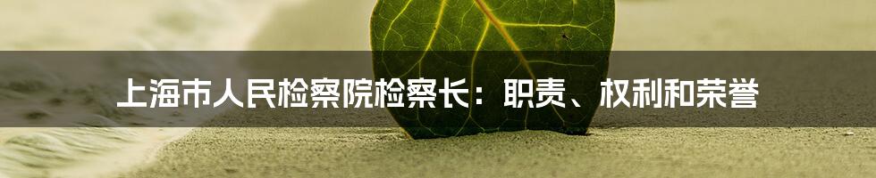 上海市人民检察院检察长：职责、权利和荣誉