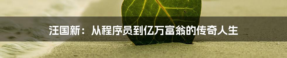 汪国新：从程序员到亿万富翁的传奇人生