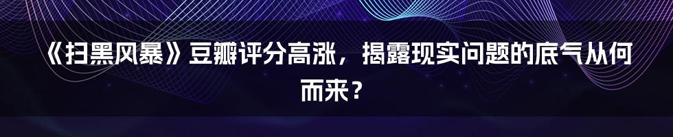 《扫黑风暴》豆瓣评分高涨，揭露现实问题的底气从何而来？