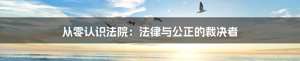 从零认识法院：法律与公正的裁决者