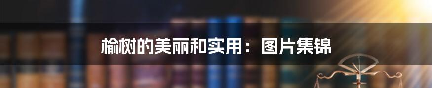 榆树的美丽和实用：图片集锦