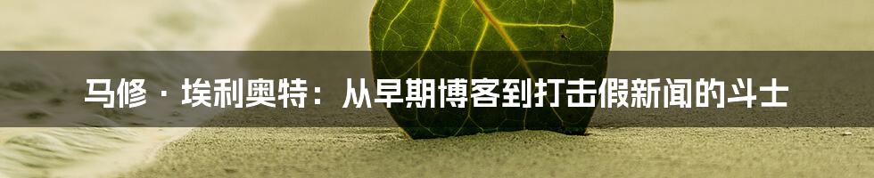 马修·埃利奥特：从早期博客到打击假新闻的斗士