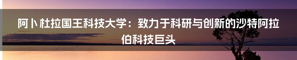 阿卜杜拉国王科技大学：致力于科研与创新的沙特阿拉伯科技巨头