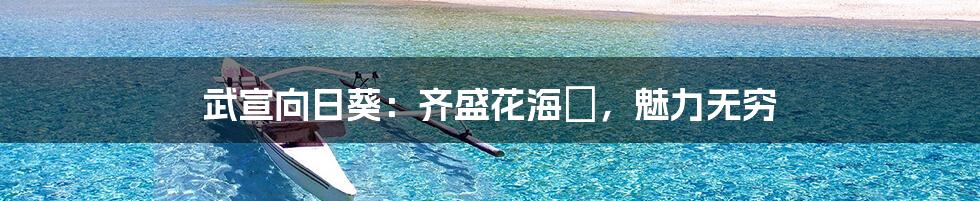 武宣向日葵：齐盛花海🌻，魅力无穷