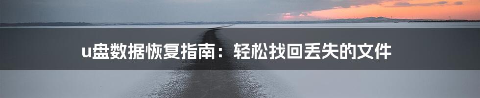 u盘数据恢复指南：轻松找回丢失的文件